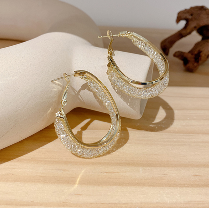 🔥LAST DAY SALE-80% OFF)Histone Lymphatic fashion Oval Earrings