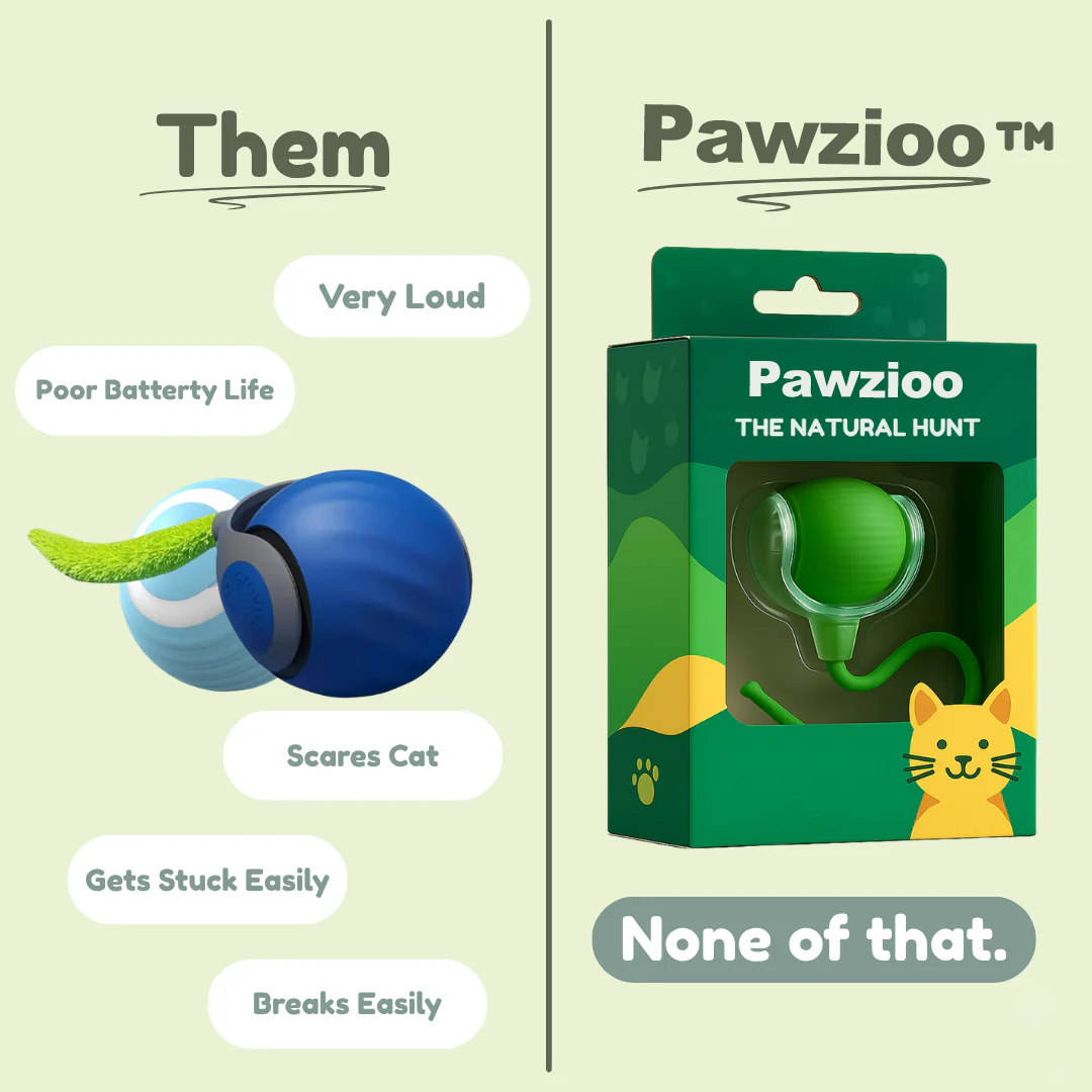 Pawzioo™ — Loved by 10,000+ Happy Cat Parents!