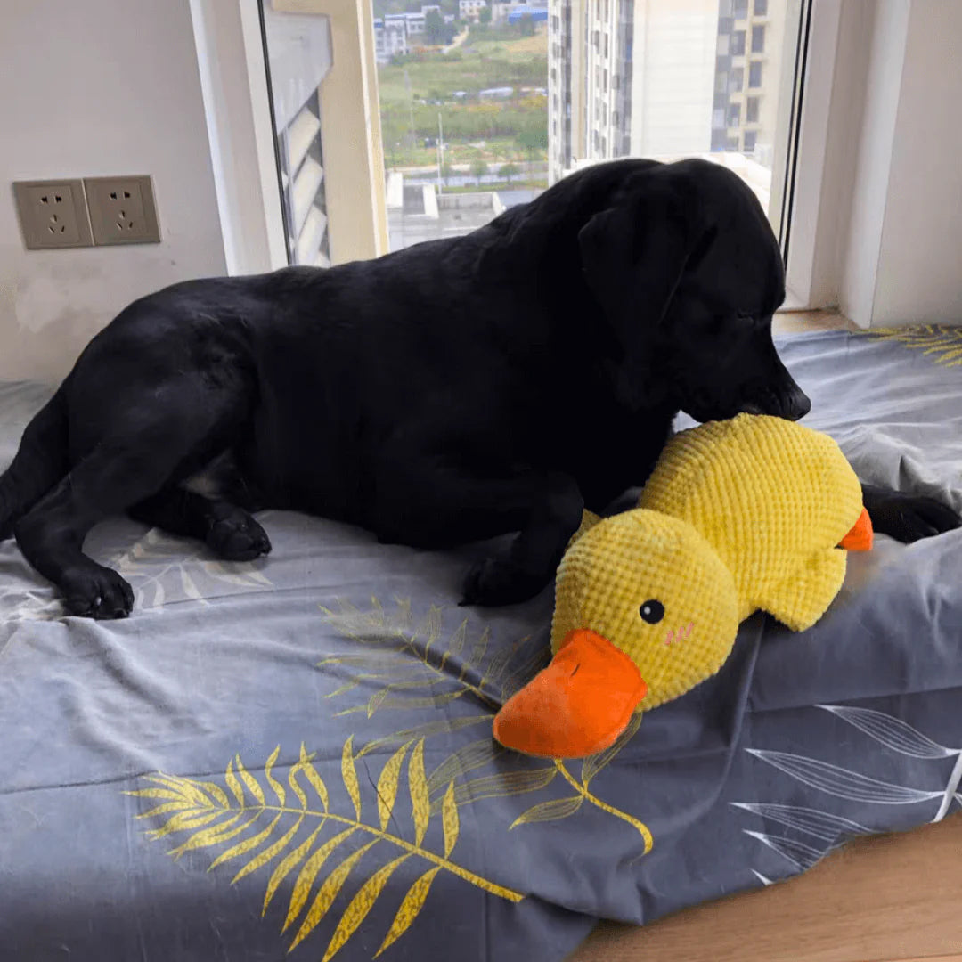 Before the existence of Calming Duck, I had no idea that 'peace of mind' could be so concrete. 🦆✨（On the last day, enjoy a 40% discount.）