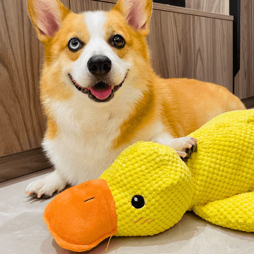 Before the existence of Calming Duck, I had no idea that 'peace of mind' could be so concrete. 🦆✨（On the last day, enjoy a 40% discount.）