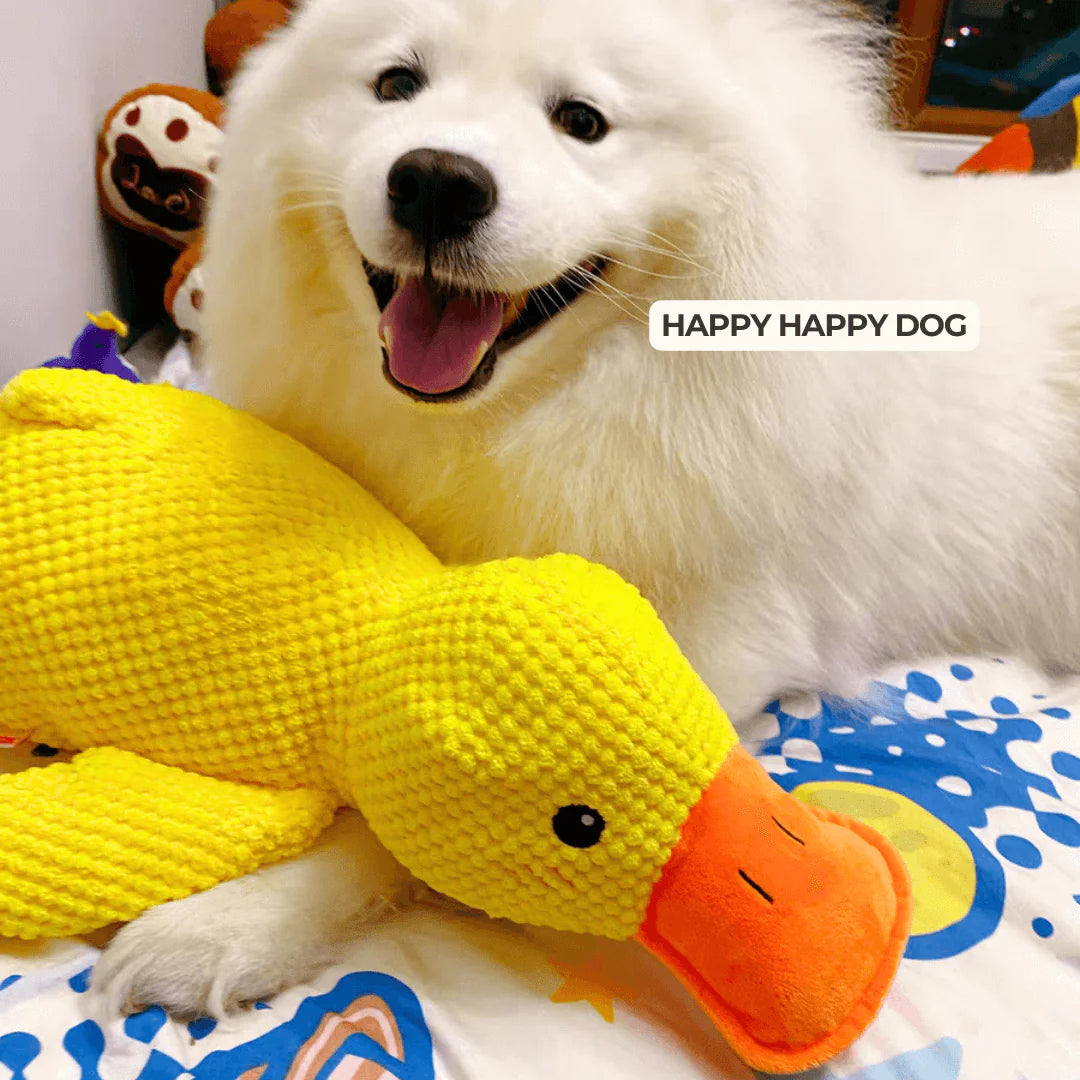 Before the existence of Calming Duck, I had no idea that 'peace of mind' could be so concrete. 🦆✨（On the last day, enjoy a 40% discount.）