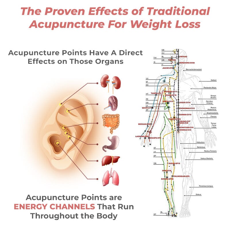 🔥LAST DAY SALE-80% OFF)Histone Lymph Flow Magnetogen Earrings