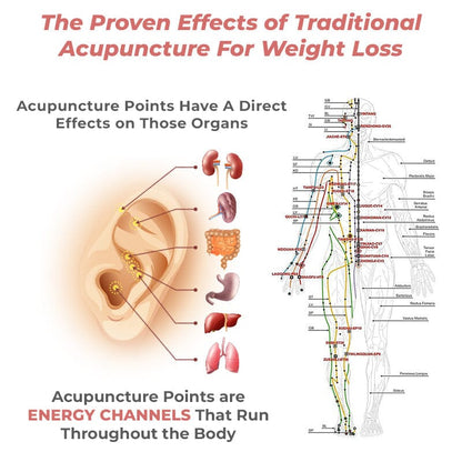 🔥LAST DAY SALE-80% OFF)Histone Lymph Flow Magnetogen Earrings